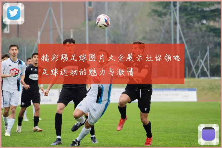 精彩踢足球图片大全展示让你领略足球运动的魅力与激情